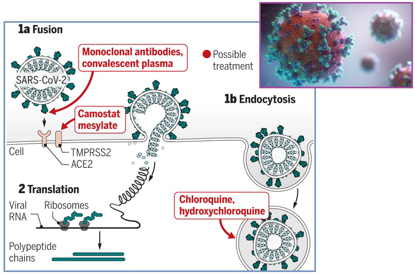 齐塔人之声通讯第706期|2020年4月12日 盖茨走了,皮尔布赖特研究所,盖茨辞去微软董事会职务,新型冠状病毒肺炎预测,峰值分析,南极洲的邪恶