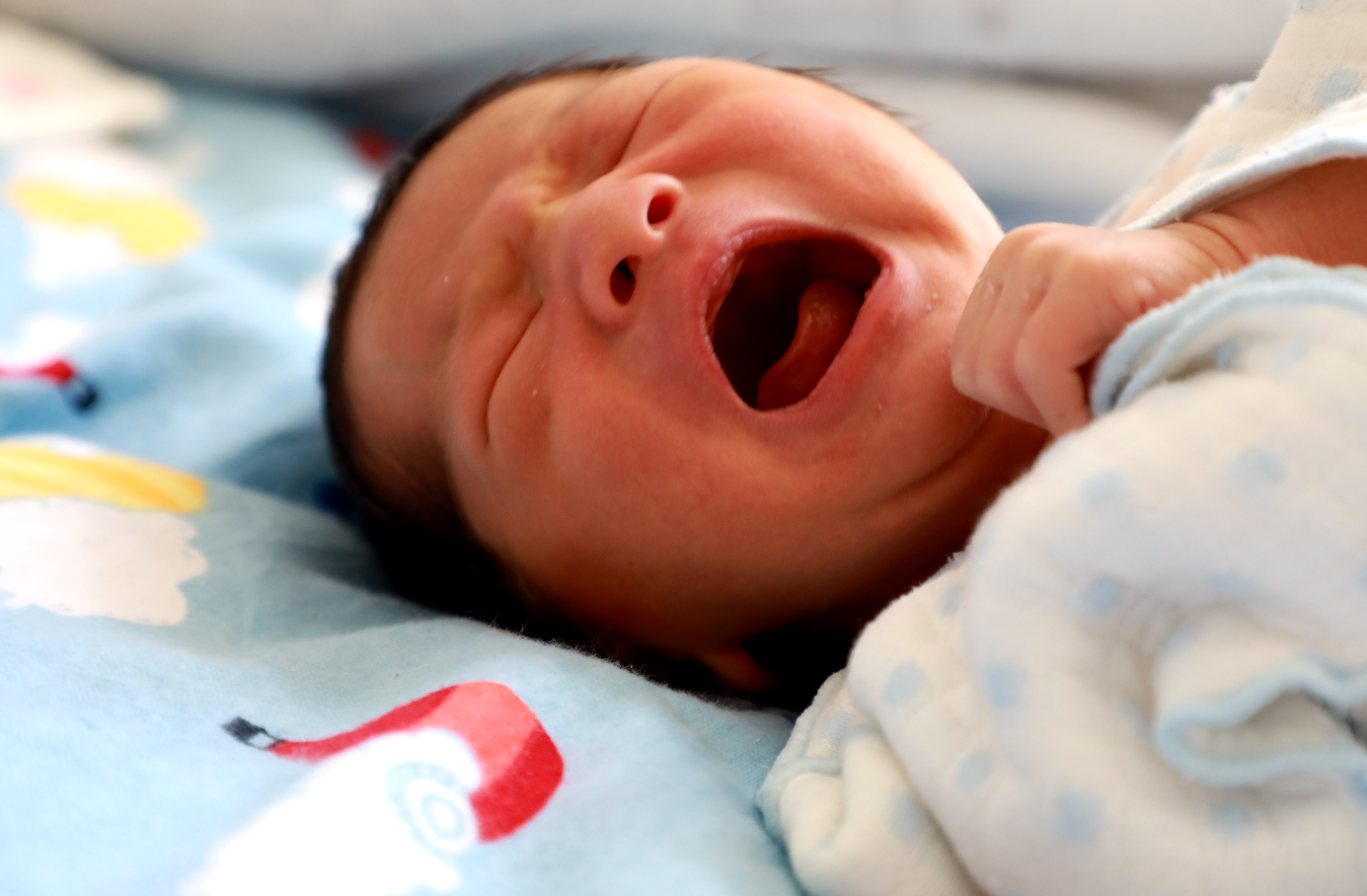 屏幕快照 2020-04-22 下午3.16.08.png