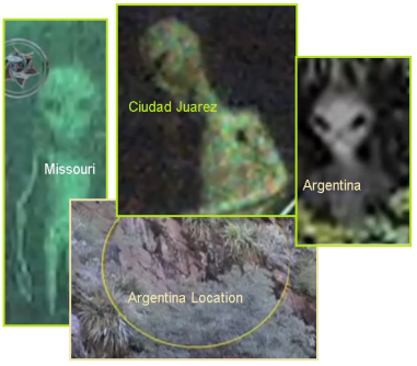 齐塔人之声通讯第709期|2020年5月3日 交战规则,再见,鲍里斯