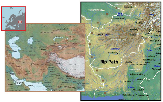 齐塔人之声通讯第709期|2020年5月3日 交战规则,再见,鲍里斯