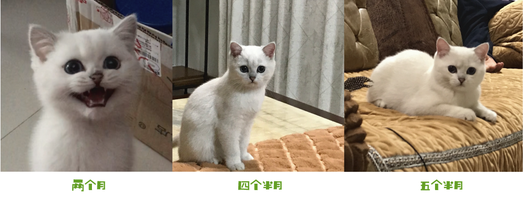 成长轨迹1.png