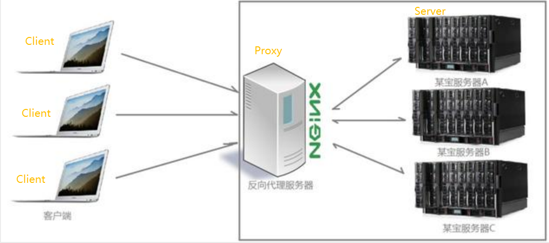 反向代理.png