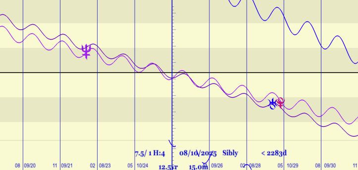 柯博拉讯息|20200506 传送门2025