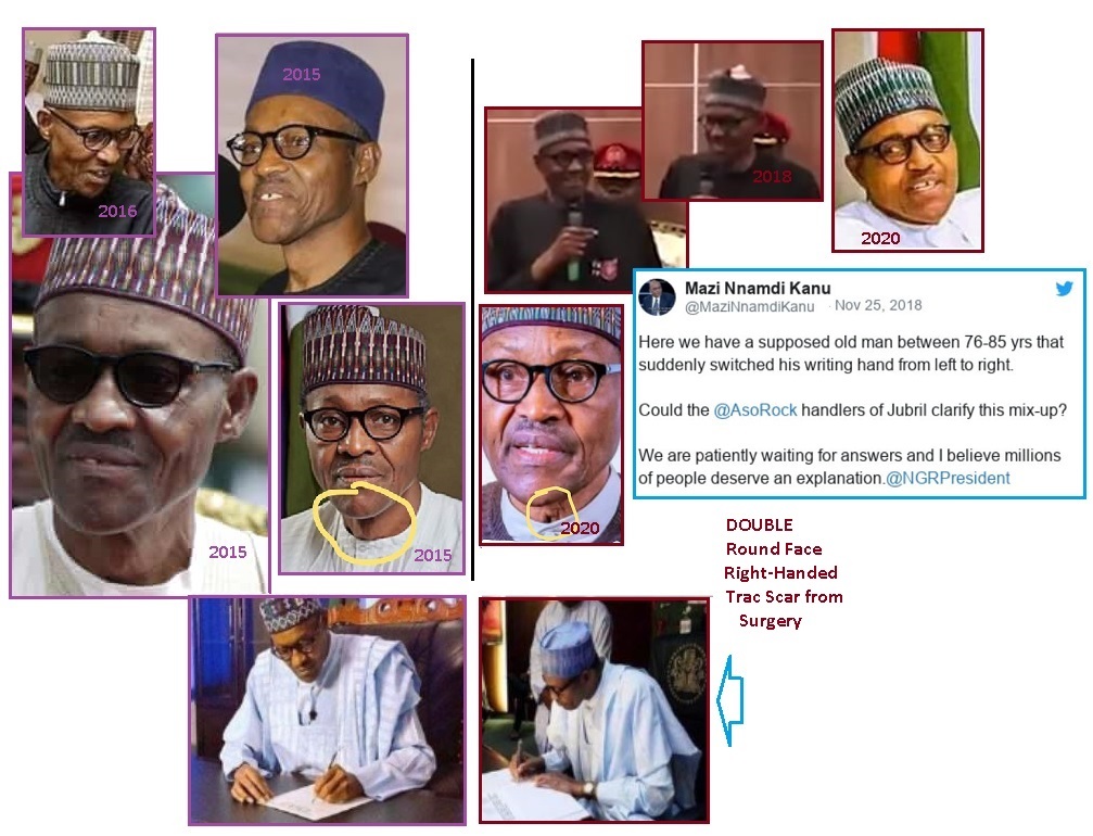 齐塔人之声通讯第711期|国家元首,紫外线聚光灯