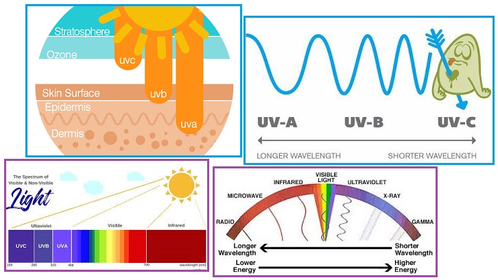 齐塔人之声通讯第711期|国家元首,紫外线聚光灯