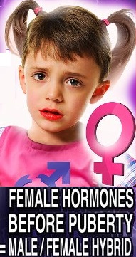 历史上最大的骗局