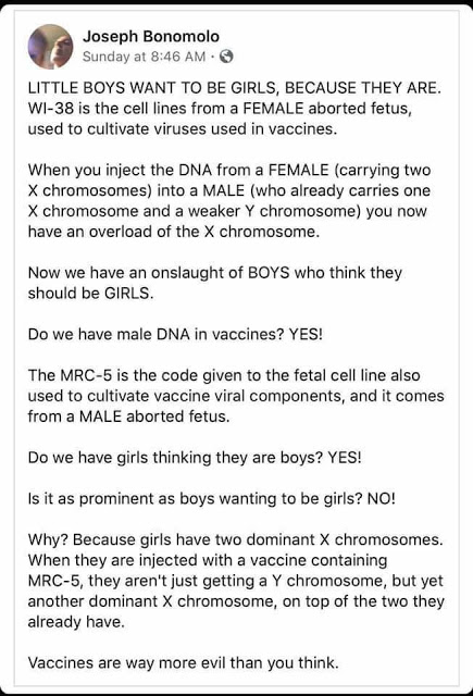 历史上最大的骗局