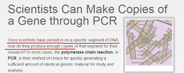 历史上最大的骗局