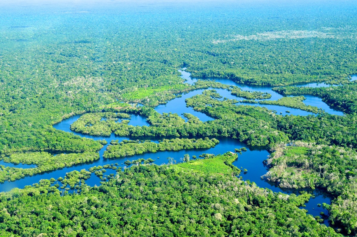专家称亚马逊雨林是巨大的病毒库或将是下一次大流行病起源