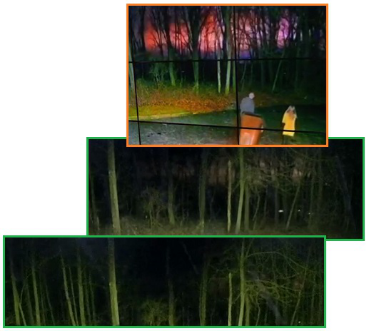 齐塔人之声通讯第712期|2020/05/24 闪光线索,天空辉光,自身免疫冠状病毒,自身免疫性疾病