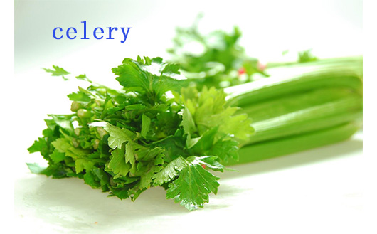 celery