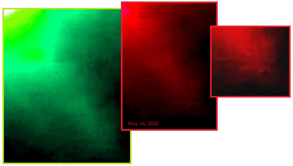 齐塔人之声通讯第713期|2020/05/31野兽数字,盖茨财富,福奇博士,尼比鲁确认