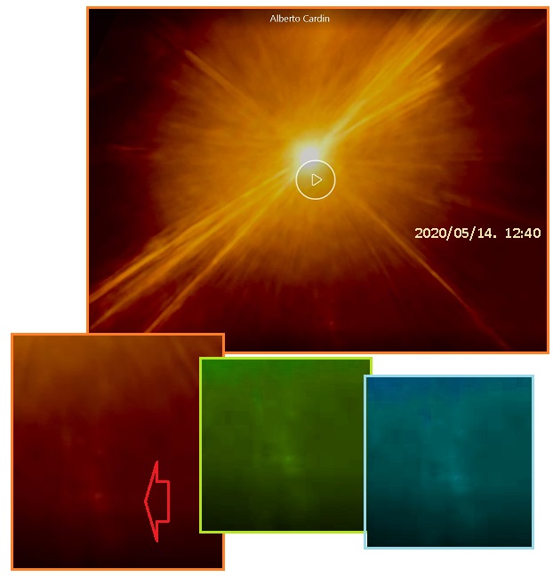 齐塔人之声通讯第713期|2020/05/31野兽数字,盖茨财富,福奇博士,尼比鲁确认