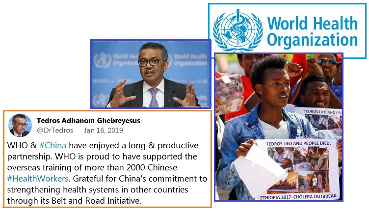 齐塔人之声通讯第713期|2020/05/31野兽数字,盖茨财富,福奇博士,尼比鲁确认