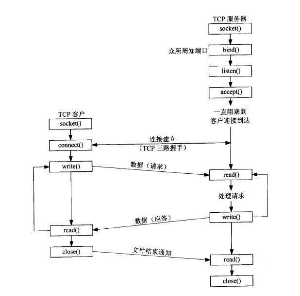 基本tcp通信与socket函数