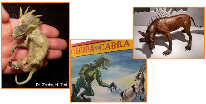 齐塔人之声通讯第714期|2020/06/07西海岸地震, 马斯克冒险,史诗般的外星人大战