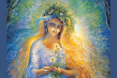 thevoice5d|病毒式传播:5百万冥想者需要6月14,21和30日