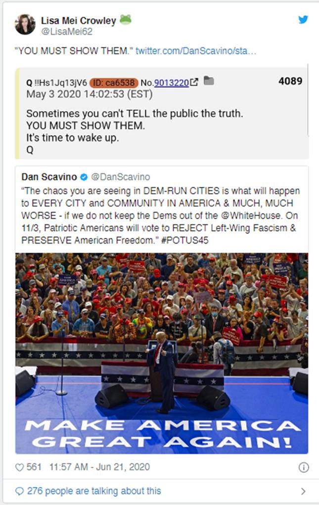 特朗普总统的竞选演讲:他成功了!——Sierra(NZ)