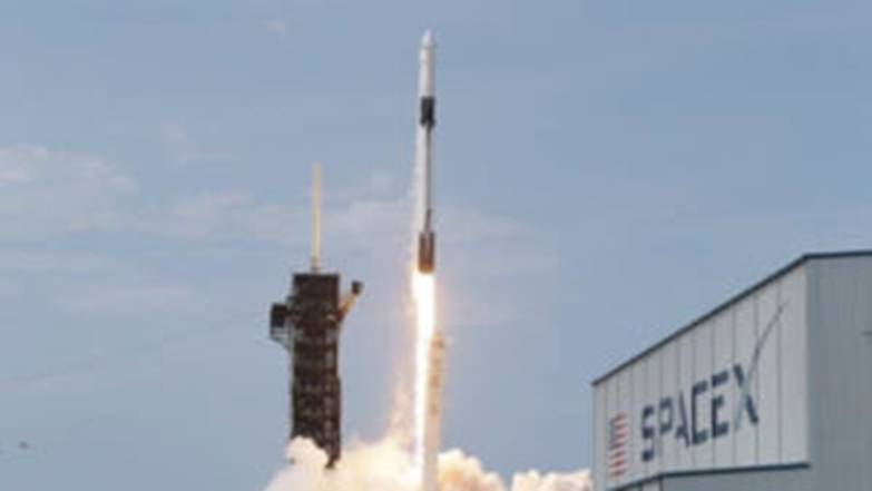 大卫•威尔科克和丹尼尔•布林克利的视频|预言成真了(第二部分)