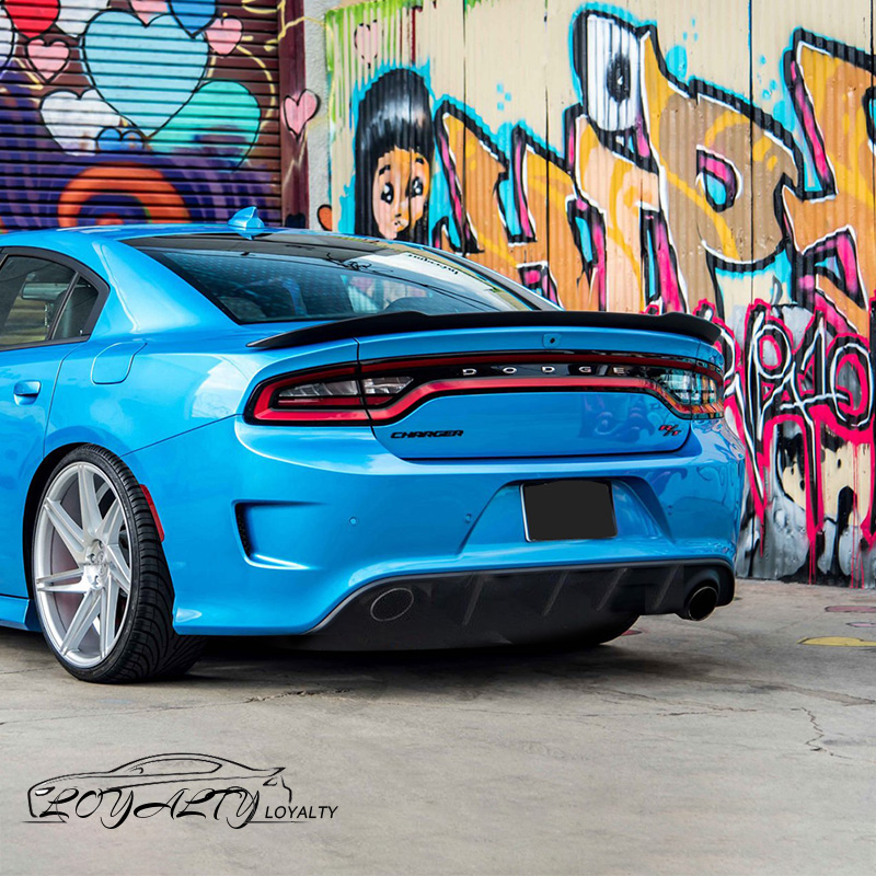 Rear Diffuser Bumper Lip Fit For 20152018 Dodge Charger RT Carbon