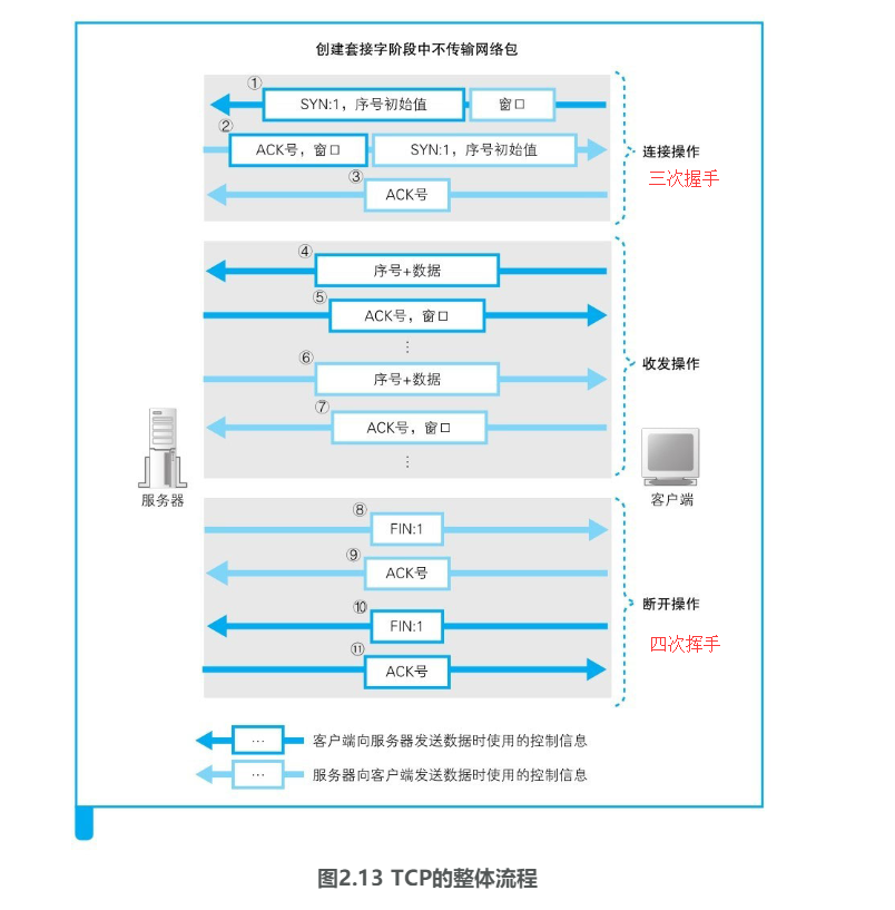 TCP模型