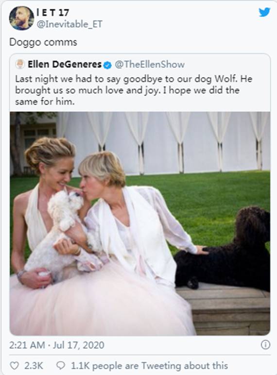 许多事情正在发生… | Sierra (NZ)