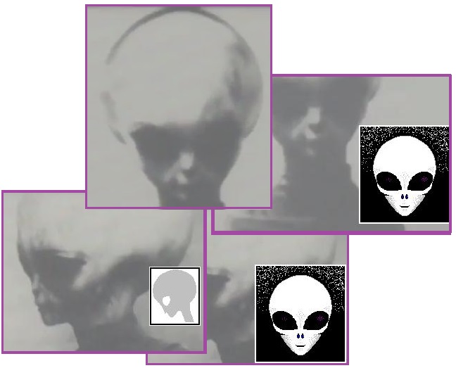 齐塔人之声通讯第720期|2020/07/19 永久遮盖、黑帽双打、教皇本笃十六世辞职、压缩太平洋、白化病患者无处不在