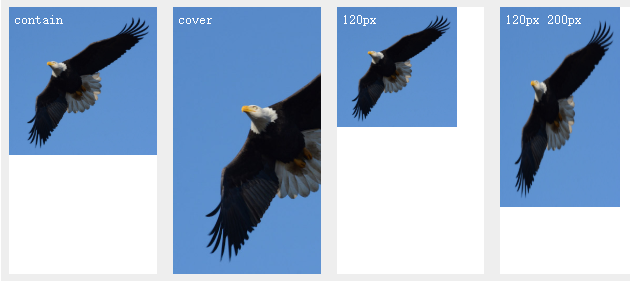 image-20200723011820304