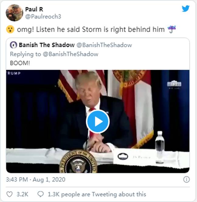 特朗普总统:“暴风雨就在我身后”|Sierra(NZ)