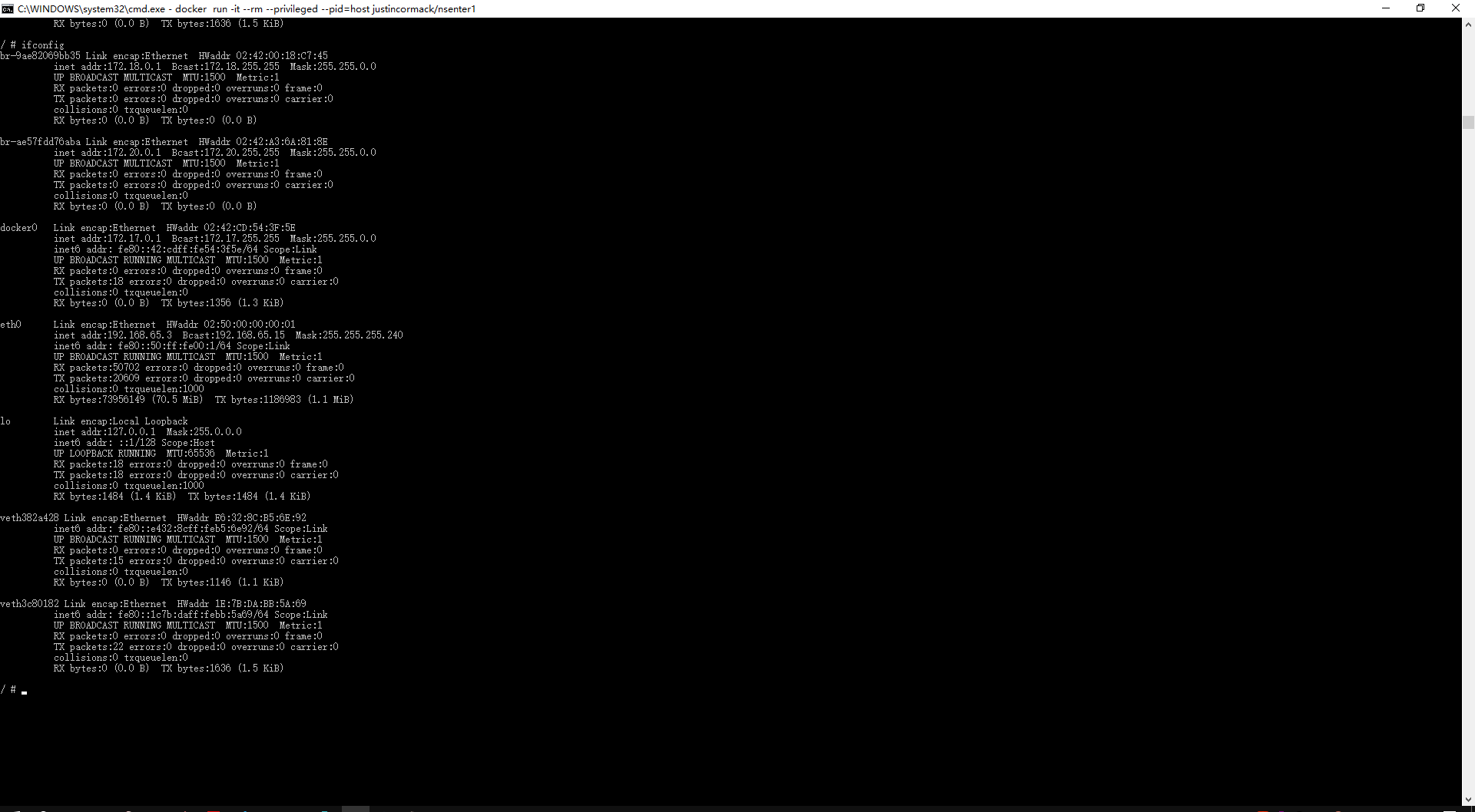docker-host-ifconfig.png