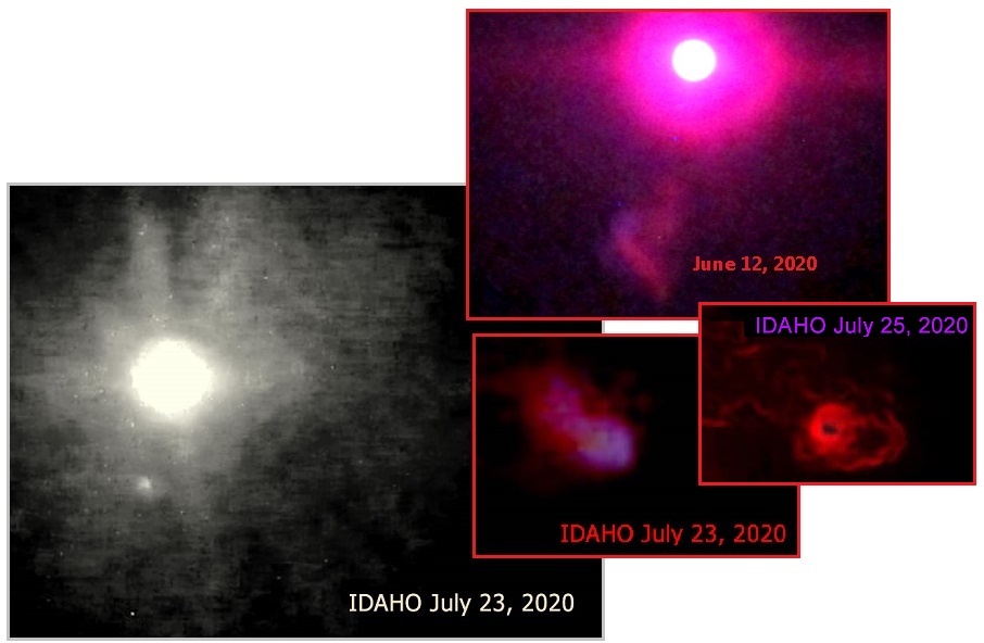 齐塔人之声通讯第724期|2020/8/16 拜登的动脉瘤、推特战争、弓形弹击