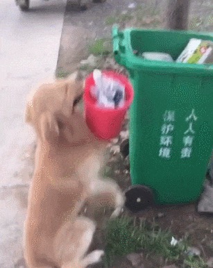 闲鱼混迹攻略之买家篇,奢侈产品差价大,砍价原来也有如此多技巧!