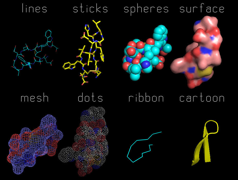 PyMOL：安装及入门笔记