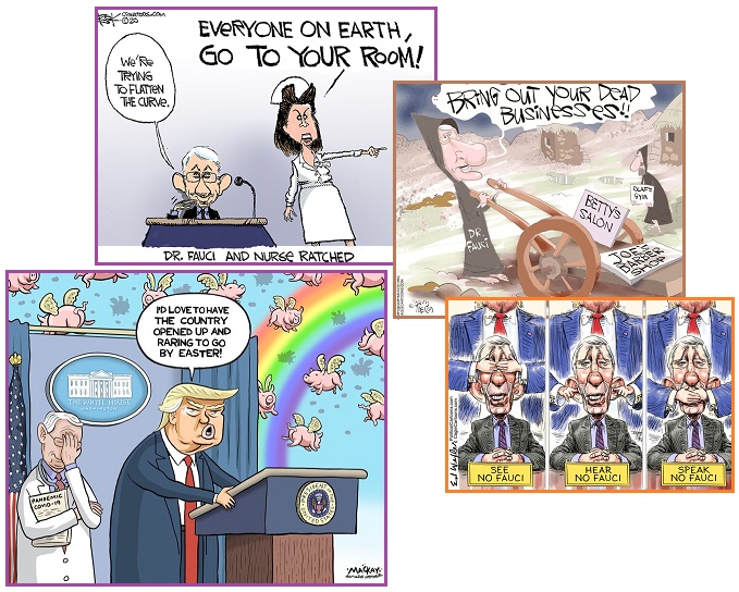 齐塔人之声通讯725|Covid-19衰减率、HCQ战争、双打