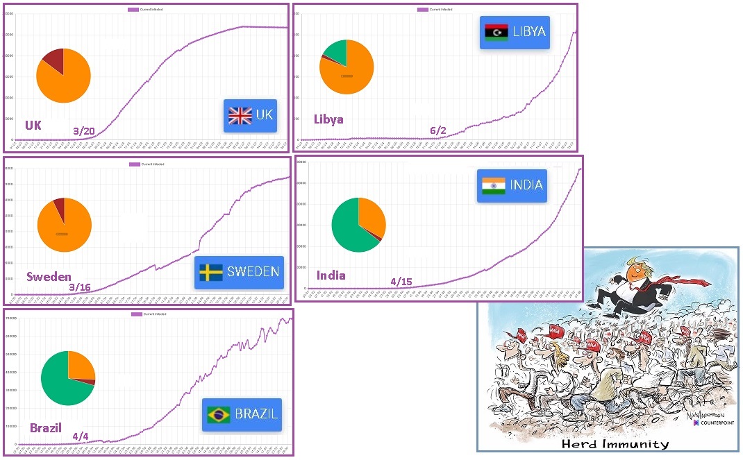 齐塔人之声通讯725|Covid-19衰减率、HCQ战争、双打