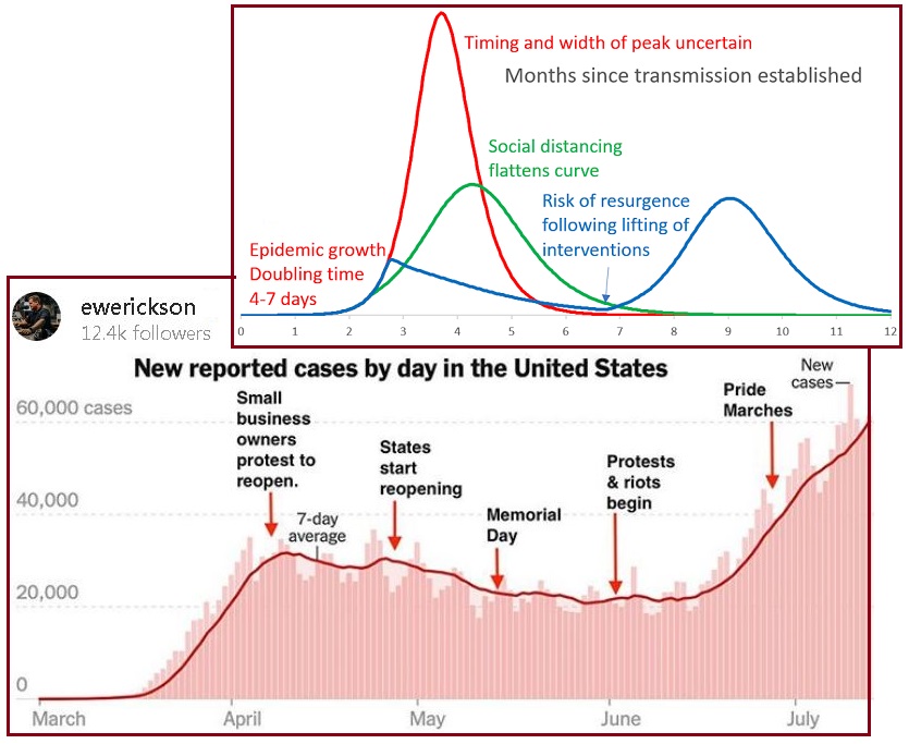 齐塔人之声通讯725|Covid-19衰减率、HCQ战争、双打