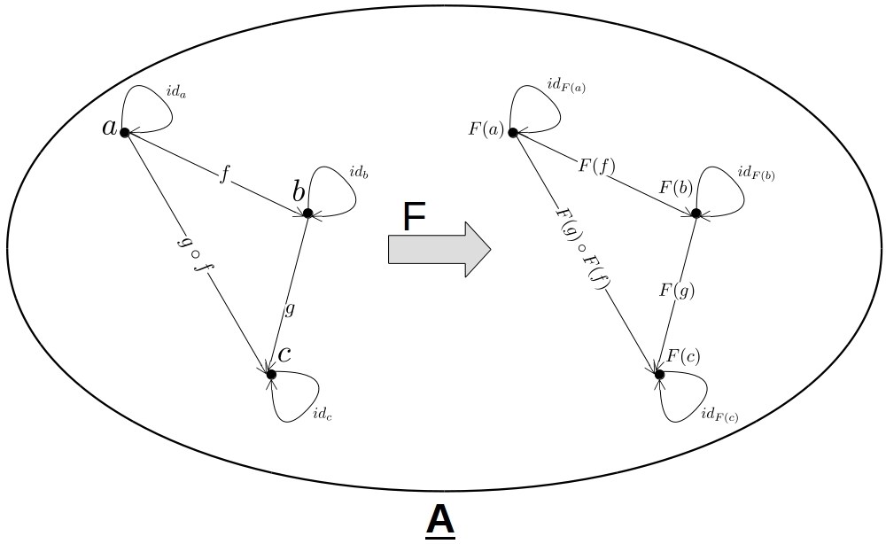 endofunctor