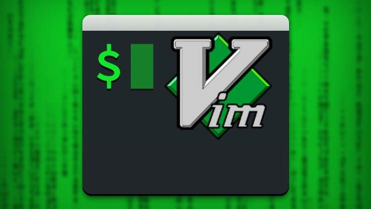 VIM