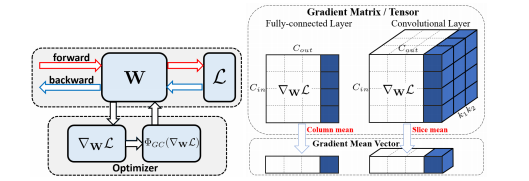 Gradient Centralization