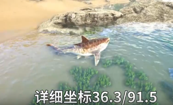 image-20200915174620763