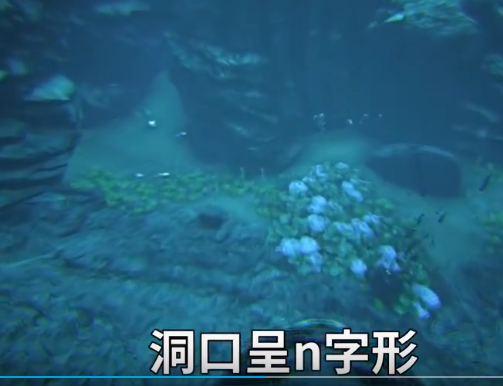 image-20200915174654411