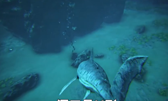 image-20200915174207842