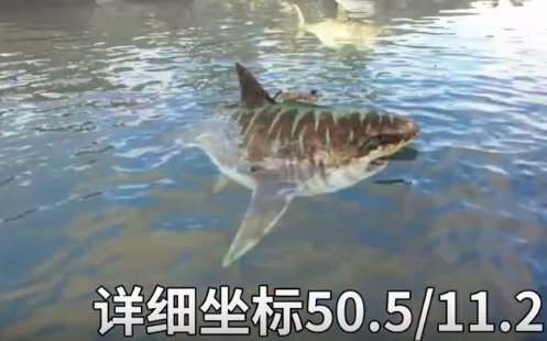 image-20200915174840094