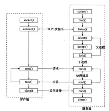 TCP客户端与服务器工作流程