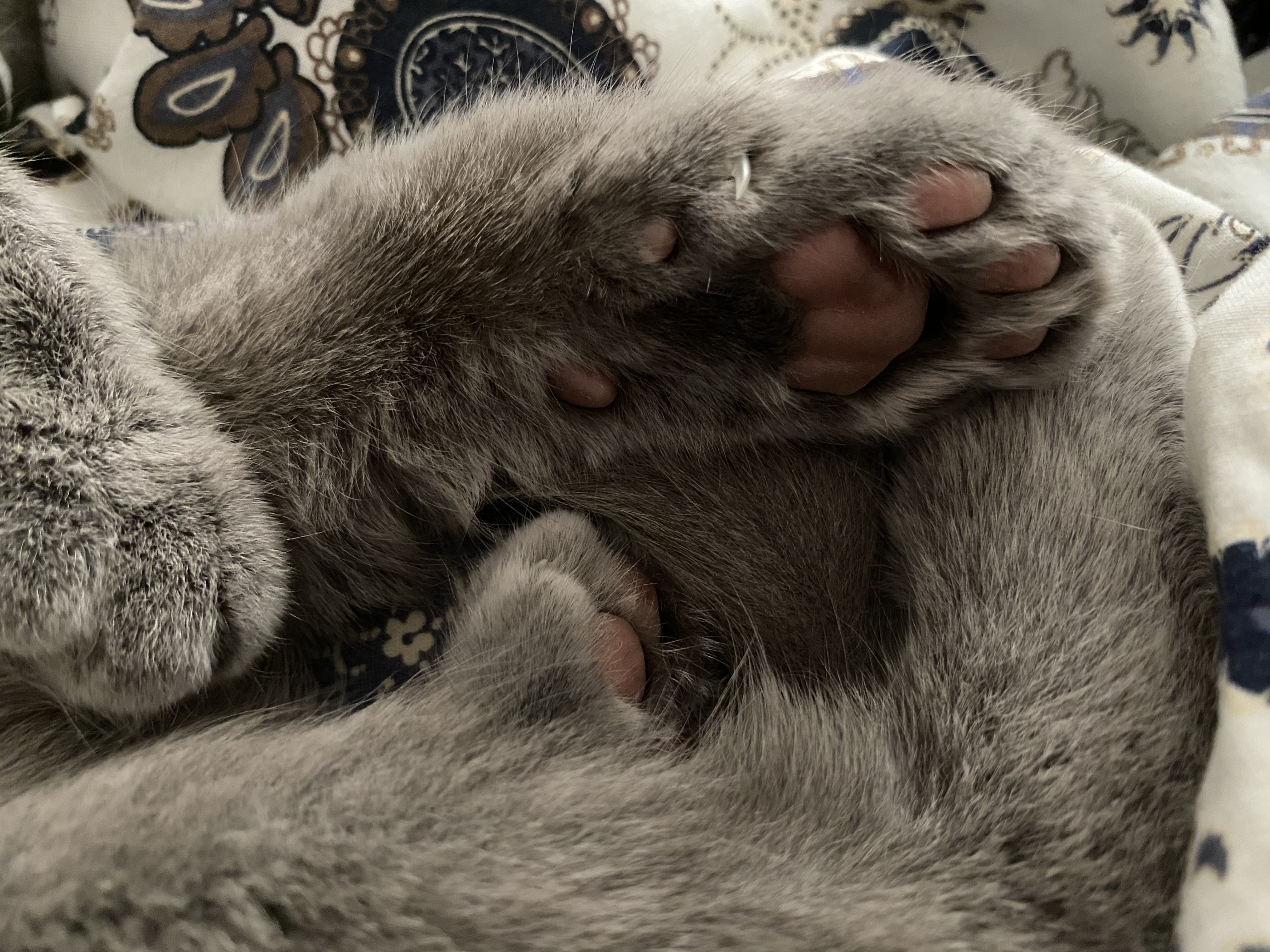 觉得好看请回馈一张你们的jiojio照片.[56]收藏该贴已收藏只看楼主