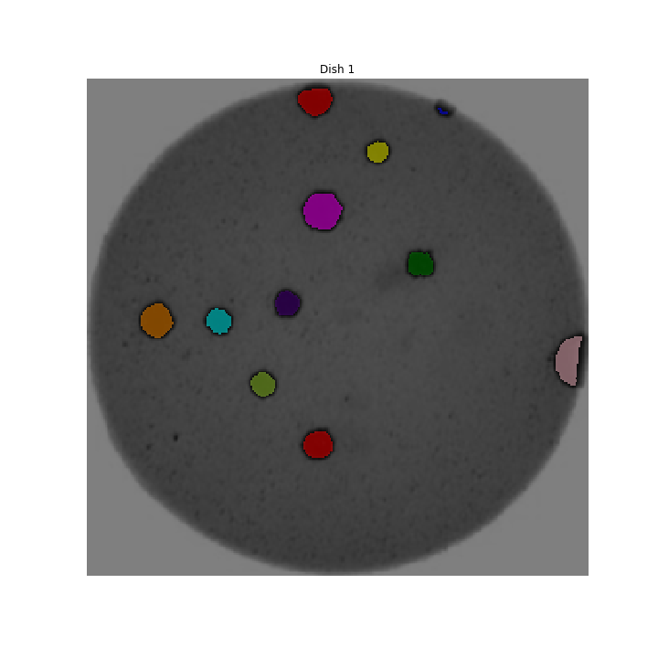 Sample morphometric output