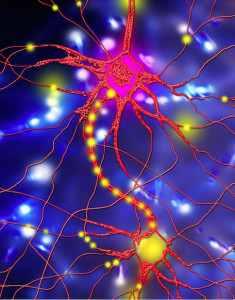 最后的警钟|你的面罩不是病毒而是杀手