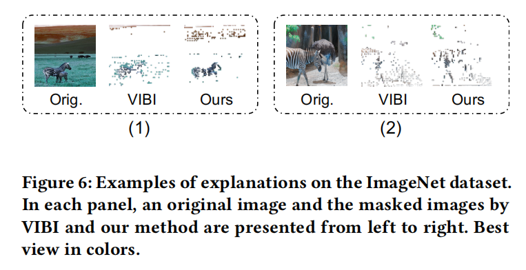 ImageNet samples