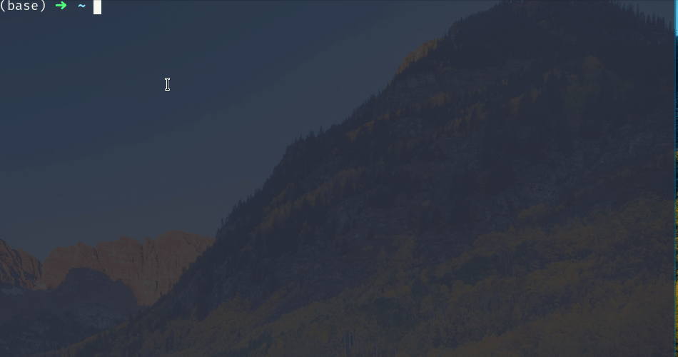 prepare-code.gif