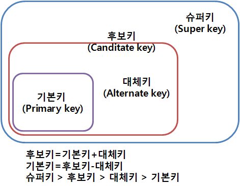 키(Key)의